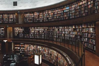 pexels-olenka-sergienko-3646172 (1).jpg