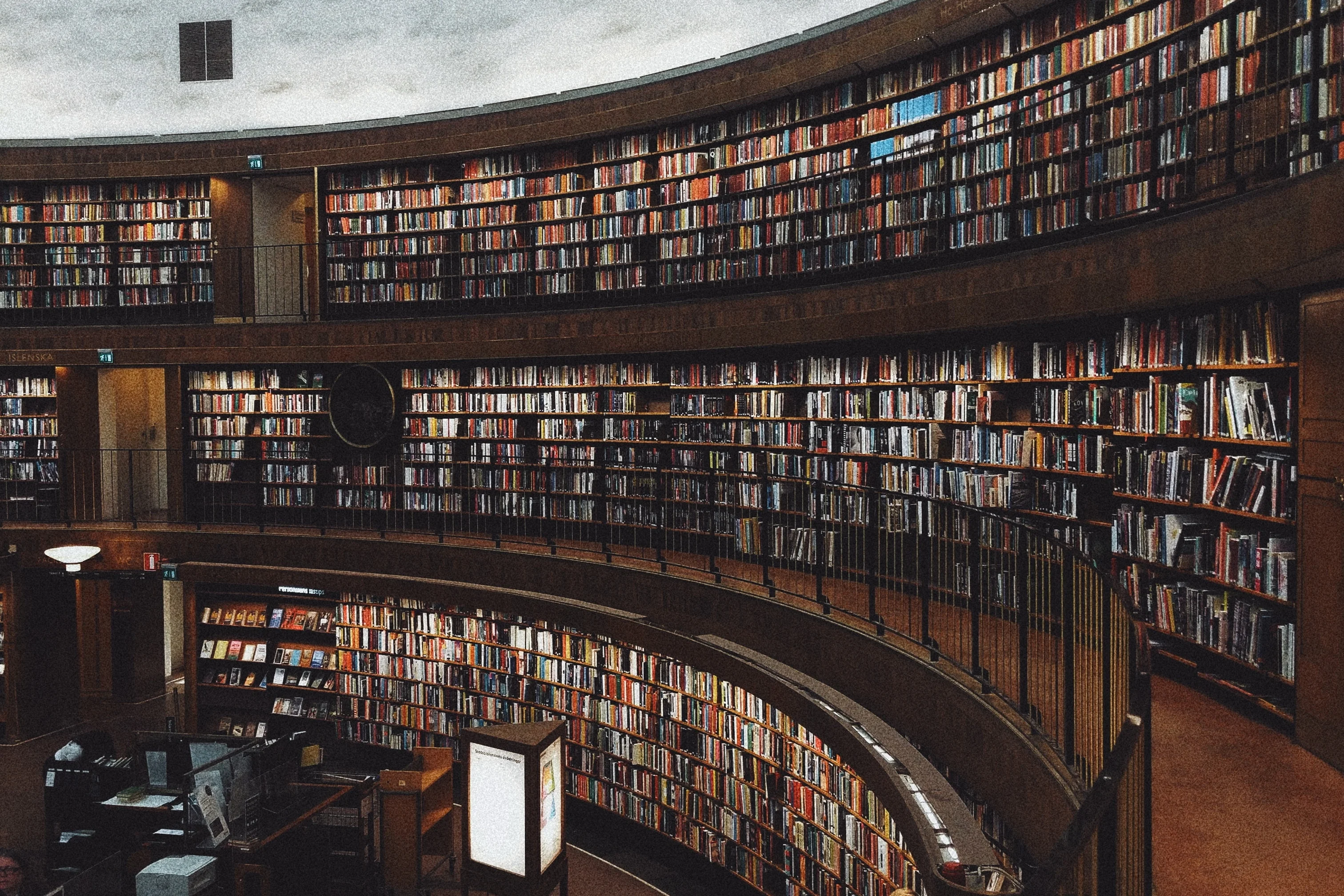 pexels-olenka-sergienko-3646172 (1).jpg