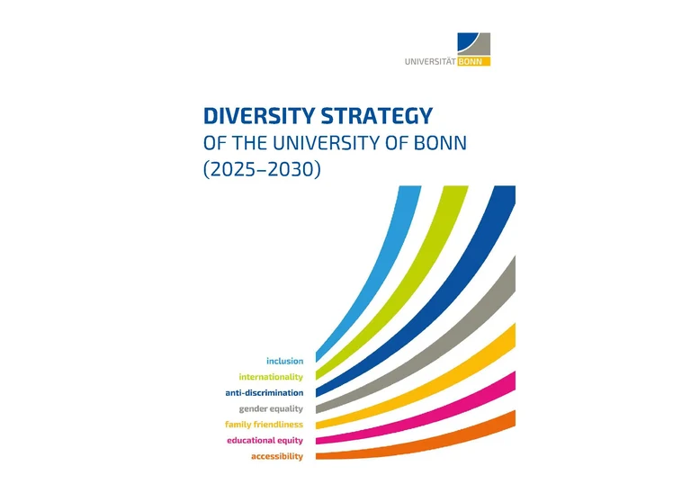 diversity strategy.png